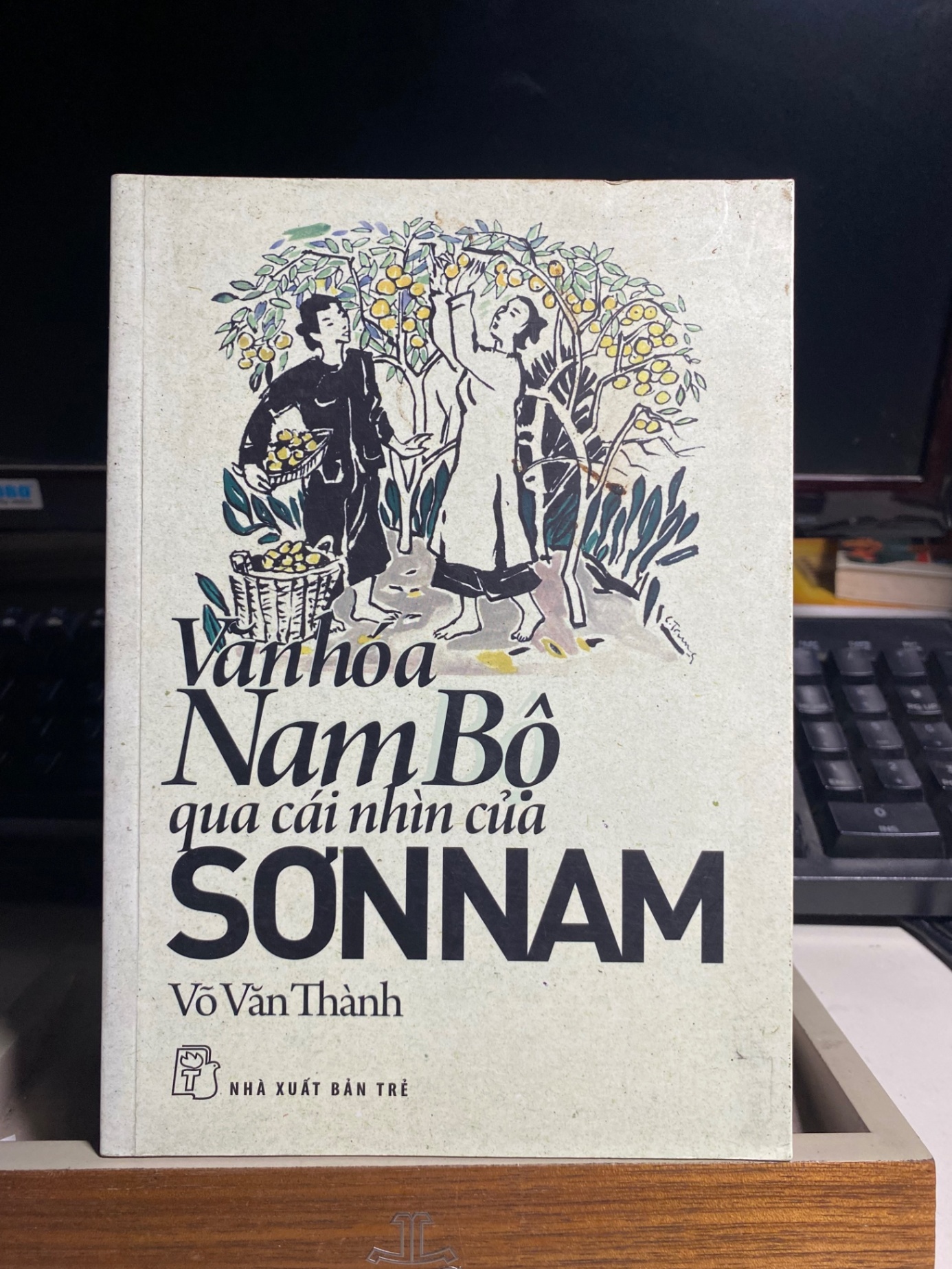 VĂN HÓA NAM BỘ QUA CÁI NHÌN CỦA SƠN NAM-Tác giả: Võ Văn Thành STB803