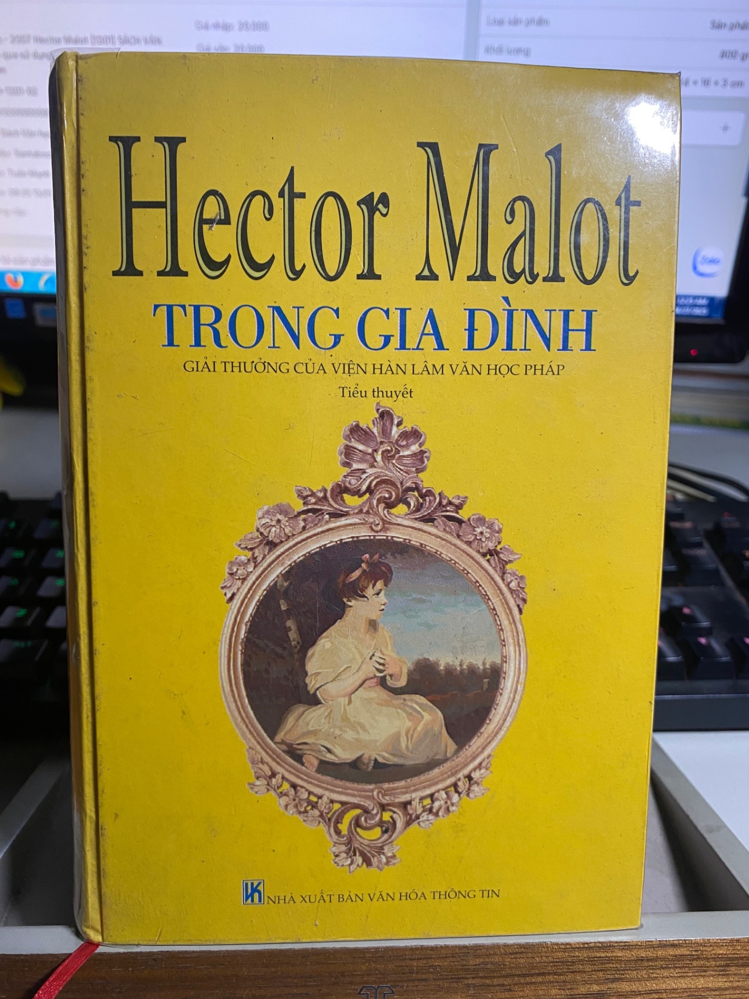 Trong gia đình - 2007 Hector Malot [1301] SÁCH VĂN HỌC-Sách cũ qua sử dụng,bìa cứng,chất lượng tốt,ố cạnh theo thời gian STB91