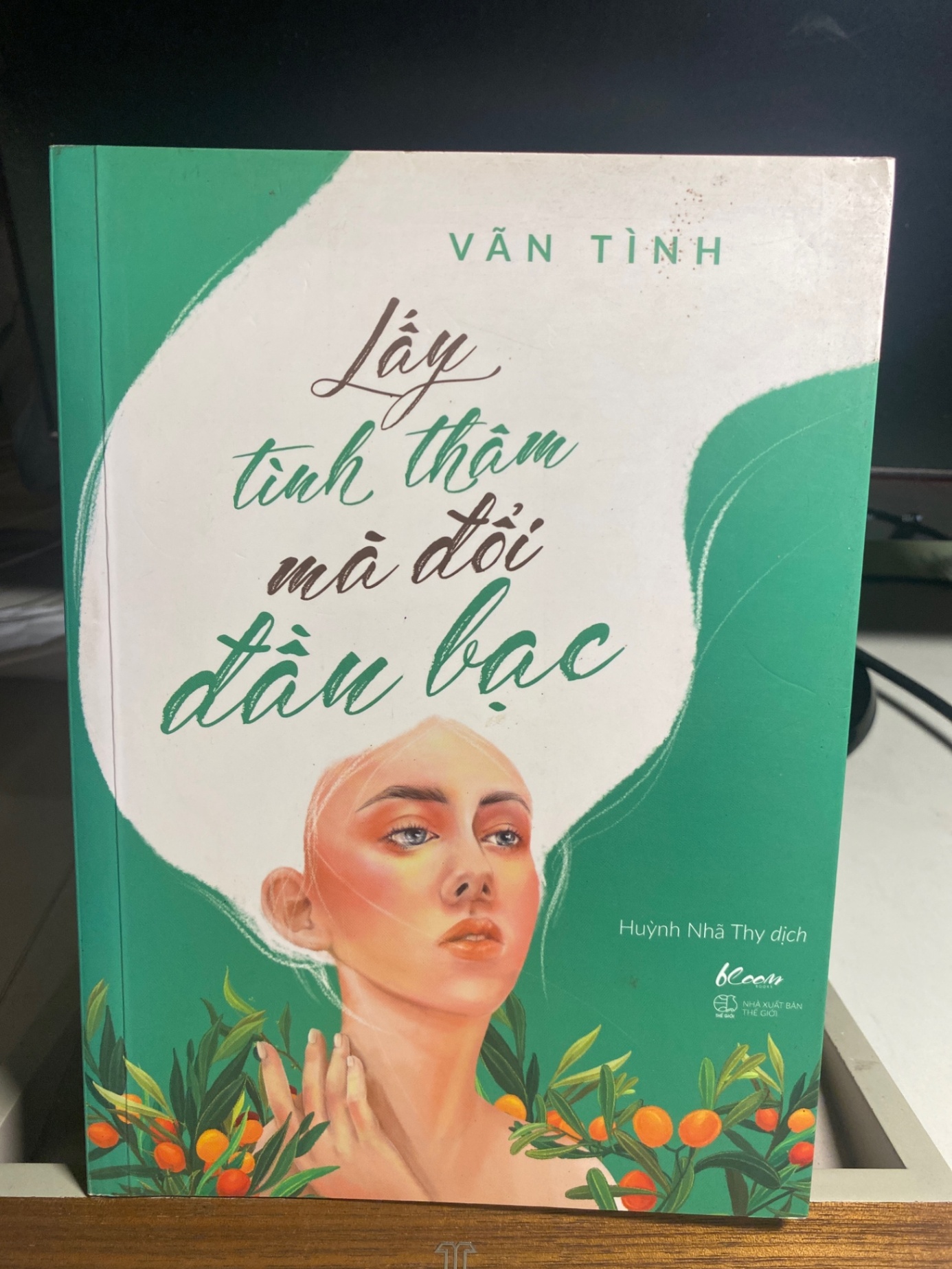 Lấy Tình Thâm Mà Đổi Đầu Bạc- Vãn Tình- NXB Thế Giới 2020- Sách mới STB1329