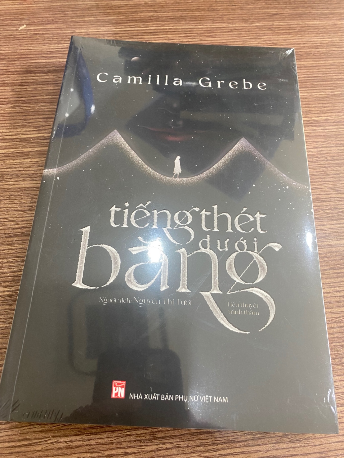 Tiếng Thét Dưới Băng- Tác giả Camilla Grebe-Tiểu thuyết trinh thám STB658