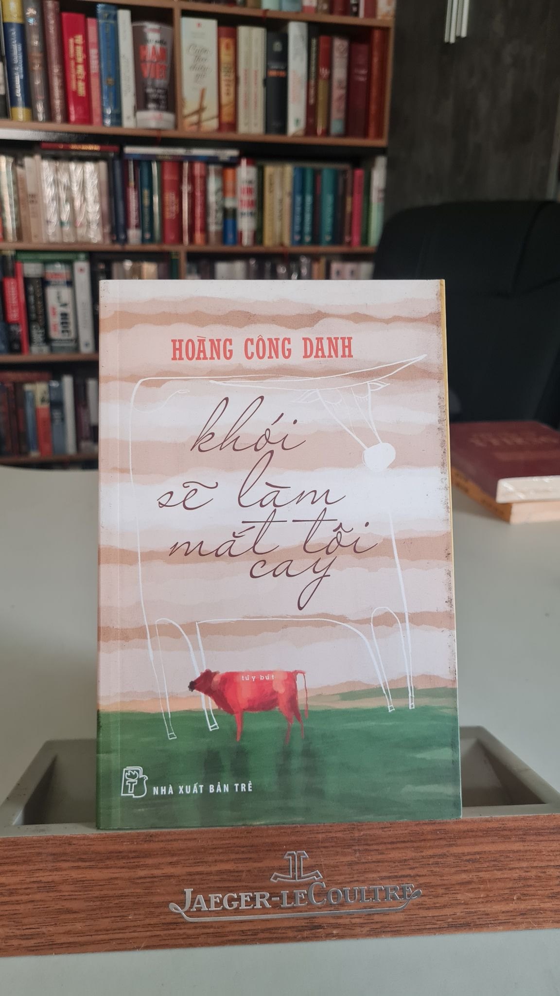 Khói sẽ làm mắt tôi cay -Hoàng Công Danh-NXB Trẻ 2014- Sách lưu kho chưa sd, giấy xốp có ố cạnh STB177