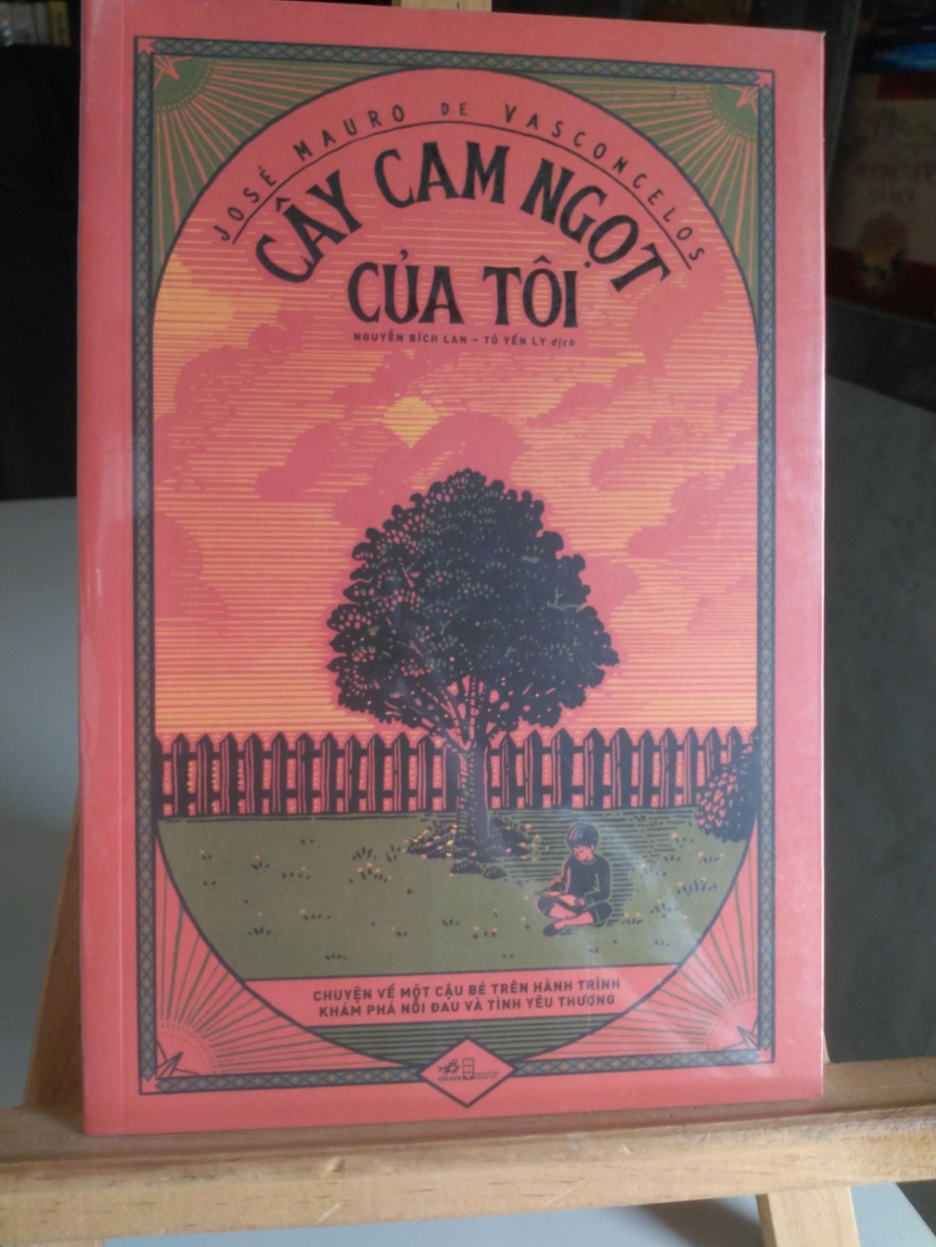Cây cam ngọt của tôi -mới 98% -José Mauro De Vasconcelos [1301] SÁCH VĂN HỌC STB4