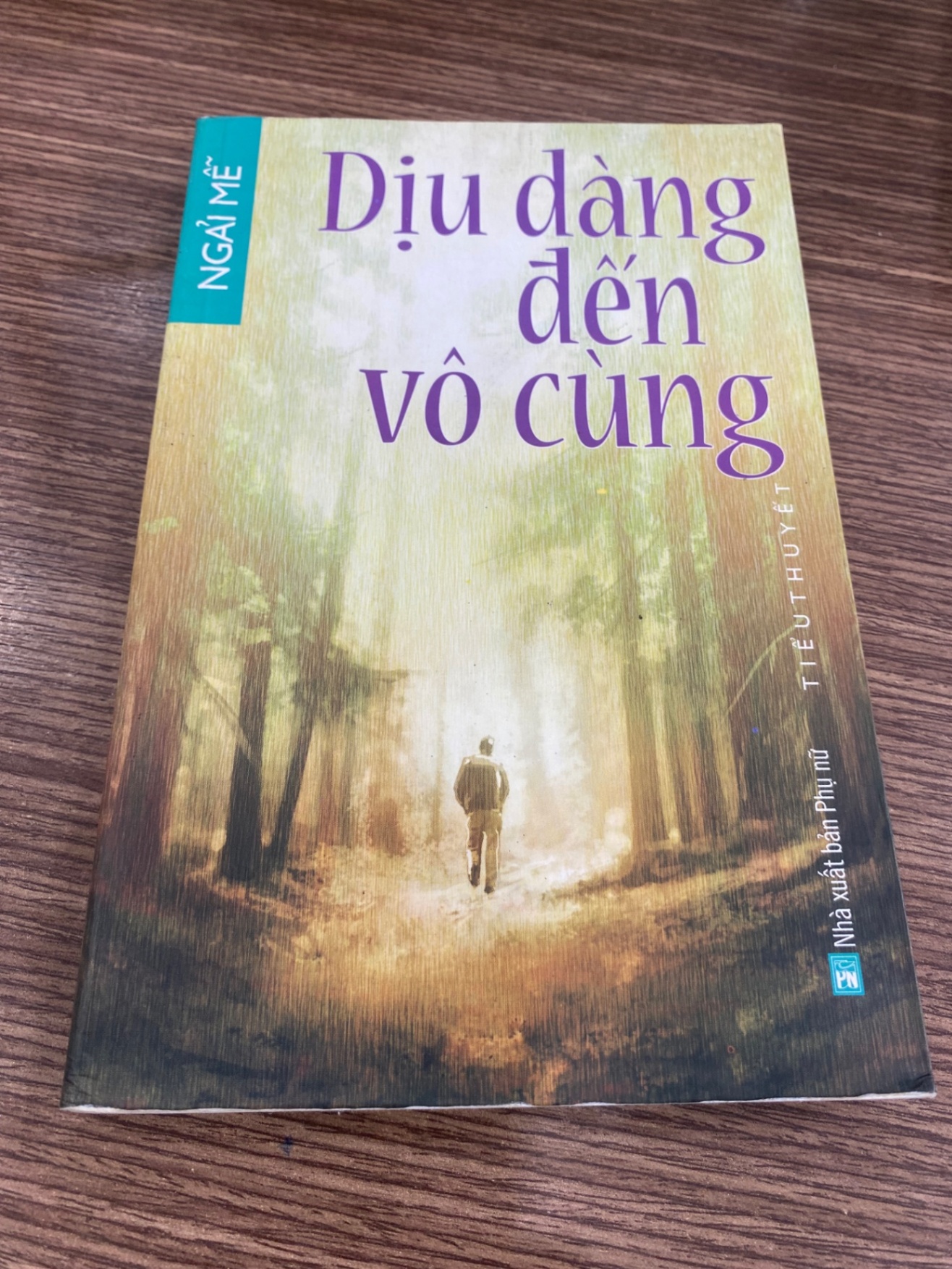 Dịu Dàng Đến Vô Cùng - Ngải Mễ - Tiểu thuyết- sách lưu kho mới 90% STB603