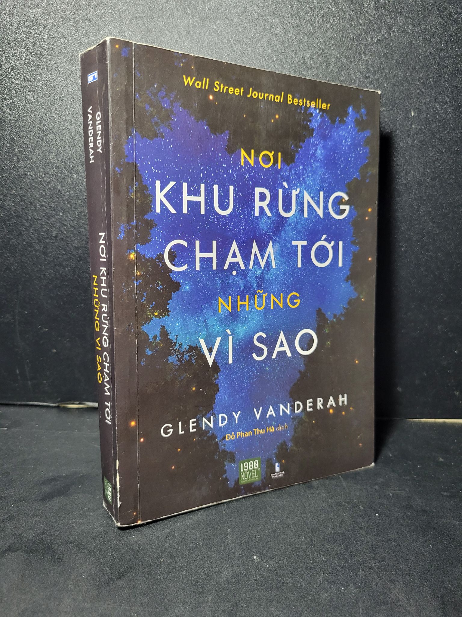 Nơi khu rừng chạm tới những vì sao mới 60% bẩn bìa nhẹ, tróc gáy nhẹ, bung trang 2020 Glendy Vanderah HCM2205 VĂN HỌC
