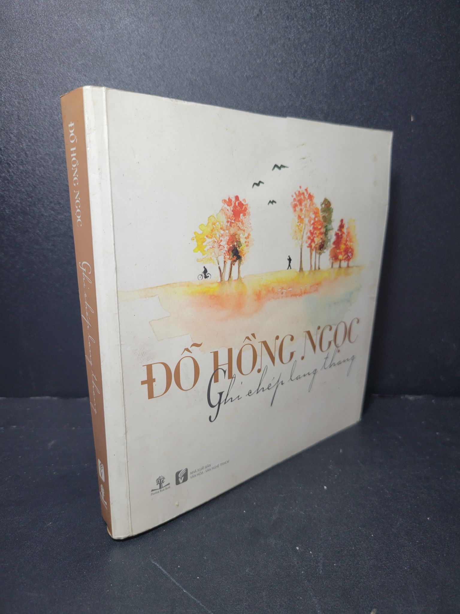 Ghi chép lang thang mới 70% bẩn bìa, ố, bị ẩm, có vệt nước 2014 Đỗ Hồng Ngọc HCM2205 VĂN HỌC
