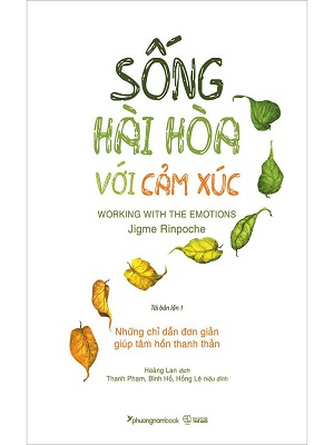 Sống hài hòa với cảm xúc - Jigme Rinpoche - 2020 - Đông Tây