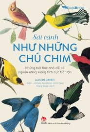 Sải cánh như những chú chim - Alison Ritchie - 2022 - Đông Tây, Thiếu nhi, Văn học nước ngoài