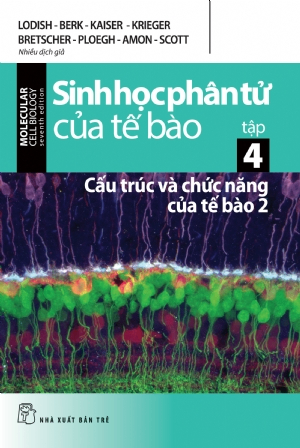 Sinh học phân tử của tế bào 04 - Cấu trúc và chức năng của tế bào 2 - LODISH - BERK - KAISER - KRIEGER - BRETSCHER - PLOEGH - AMON - SCOTT - 2024 - Khoa học công nghệ, chuyên nghành, Tham khảo, NXB Trẻ