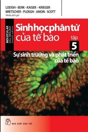Sinh học phân tử của tế bào 05 - Sự sinh trưởng và phát triển của tế bào - LODISH - BERK - KAISER - KRIEGER - BRETSCHER - PLOEGH - AMON - SCOTT - 2024 - Khoa học công nghệ, chuyên nghành, Tham khảo, NXB Trẻ