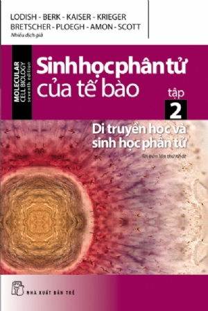 Sinh học phân tử của tế bào 02 - Di truyền học và sinh học phân tử - Nhiều tác giả - 2024 - Khoa học công nghệ, chuyên nghành, Tham khảo, NXB Trẻ