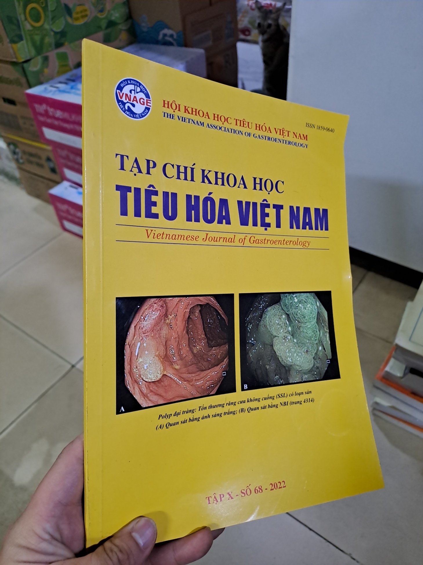 Tạp chí khoa học tiêu hóa việt nam số 68 mới 90% 2022 HCM0808 TẠP CHÍ, THIẾT KẾ, THỜI TRANG