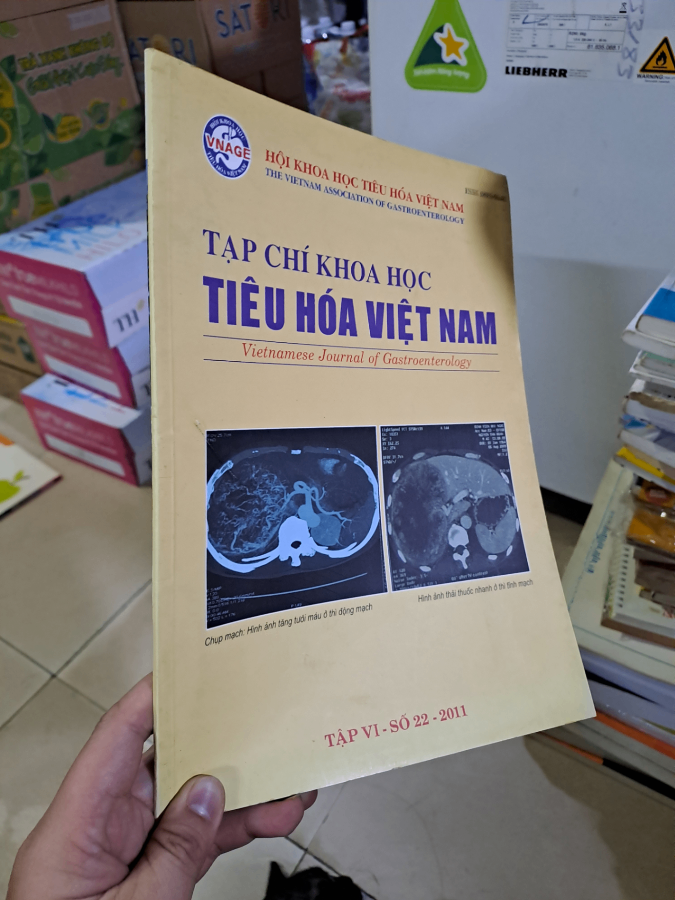 Tạp chí khoa học tiêu hóa việt nam tậpVI số 22 mới 90% 2011 HCM0808 TẠP CHÍ, THIẾT KẾ, THỜI TRANG