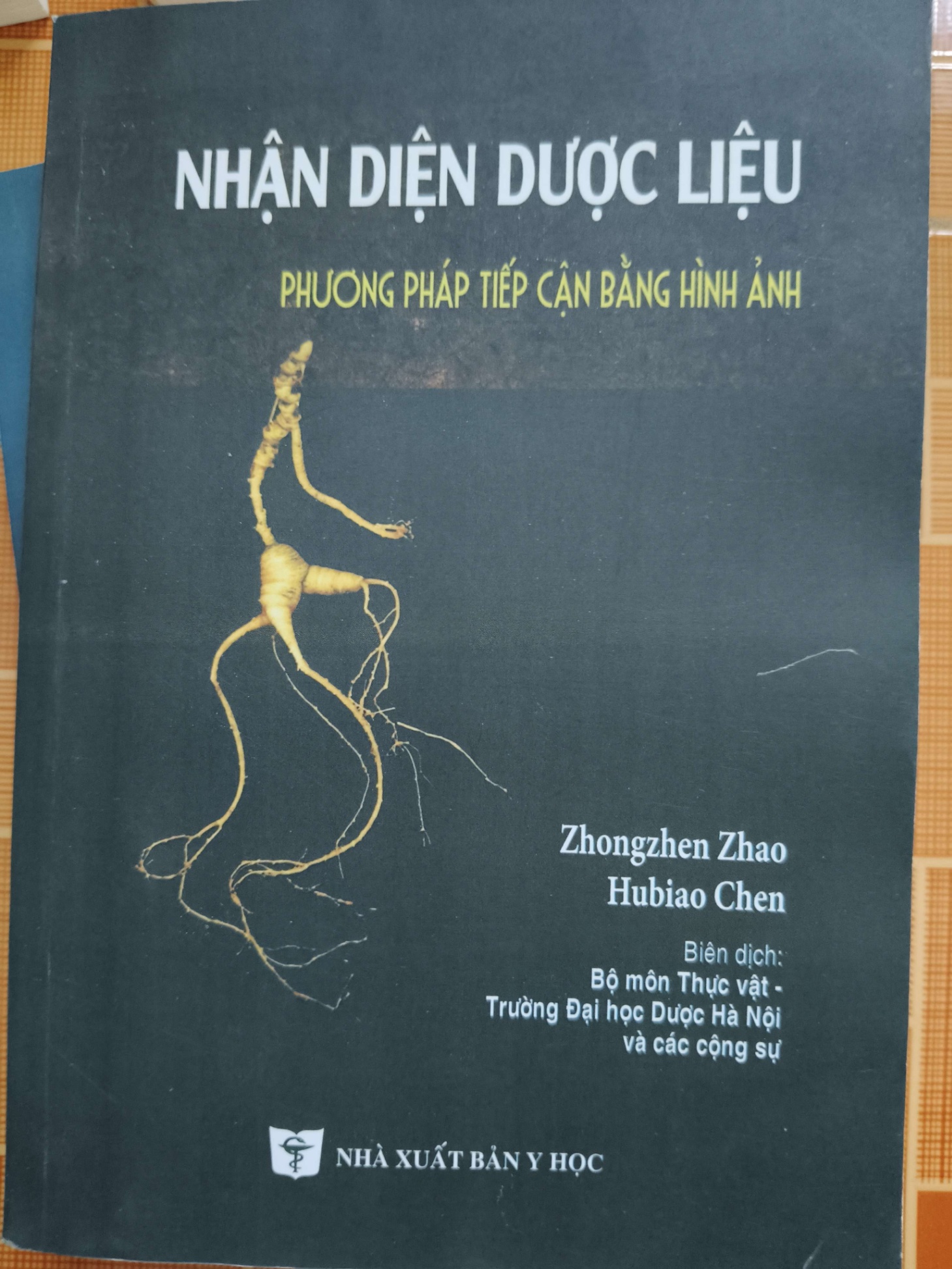 (Remake) A205 Nhận diện dược liệu - 547 trang - SỨC KHỎE - THỂ THAO - An Nhiên Thư Quán - ANTQ3110-34