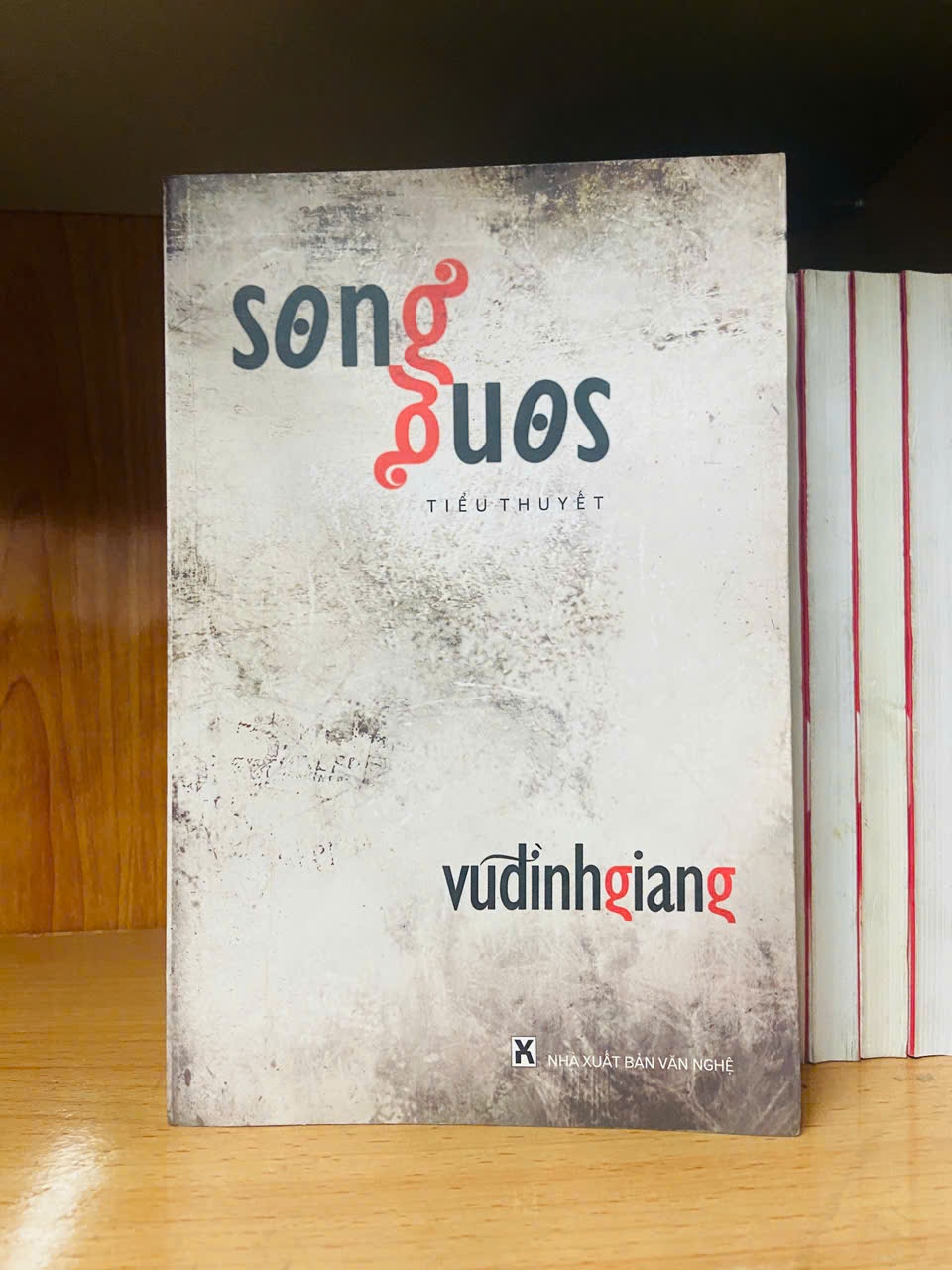 Song song - Vũ Đình Giang - VĂN HỌC - VAVO1211