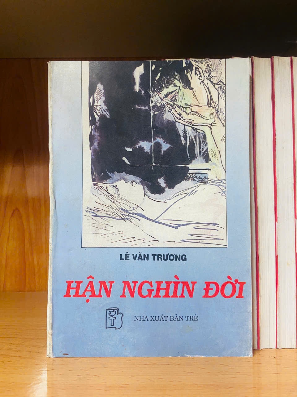Hận nghìn đời - Lê Văn Trương - VĂN HỌC - VAVO1211