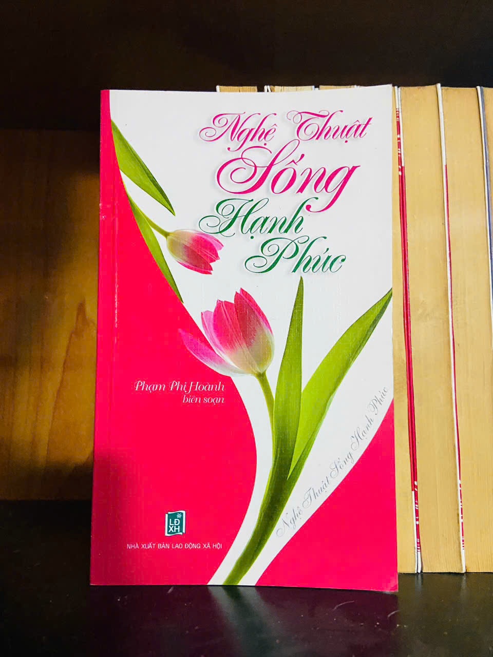 Nghệ thuật sống hạnh phúc - KỸ NĂNG - VAVO1211