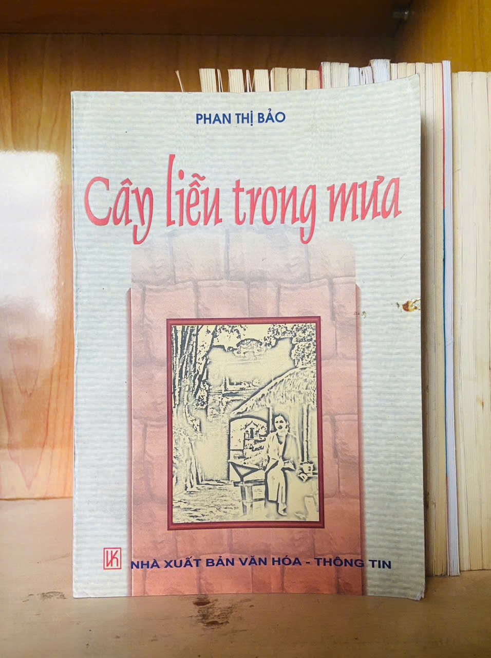 Cây liễu trong mưa - Phan Thị Bảo - VĂN HỌC - VAVO1211