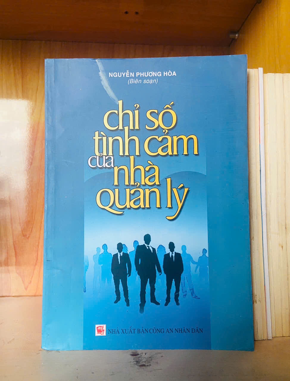 Chỉ số tình cảm của nhà quản lý - QUẢN TRỊ - VAVO1211