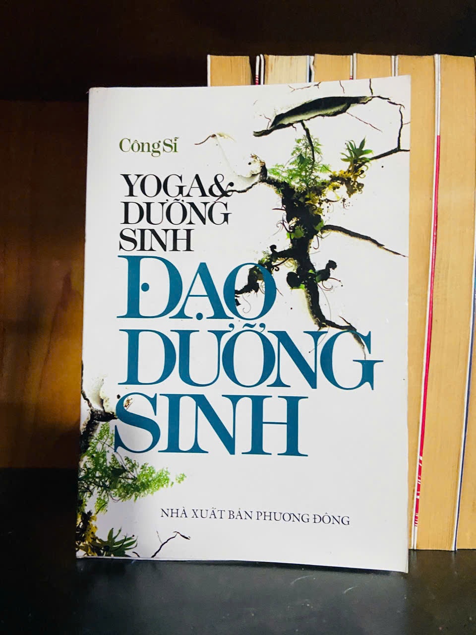Đạo dưỡng sinh - Công Sĩ - TÂM LINH - TÔN GIÁO - THIỀN - VAVO1211