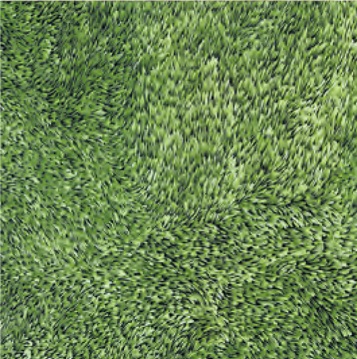 Gạch Đồng Tâm 4040GRASS001