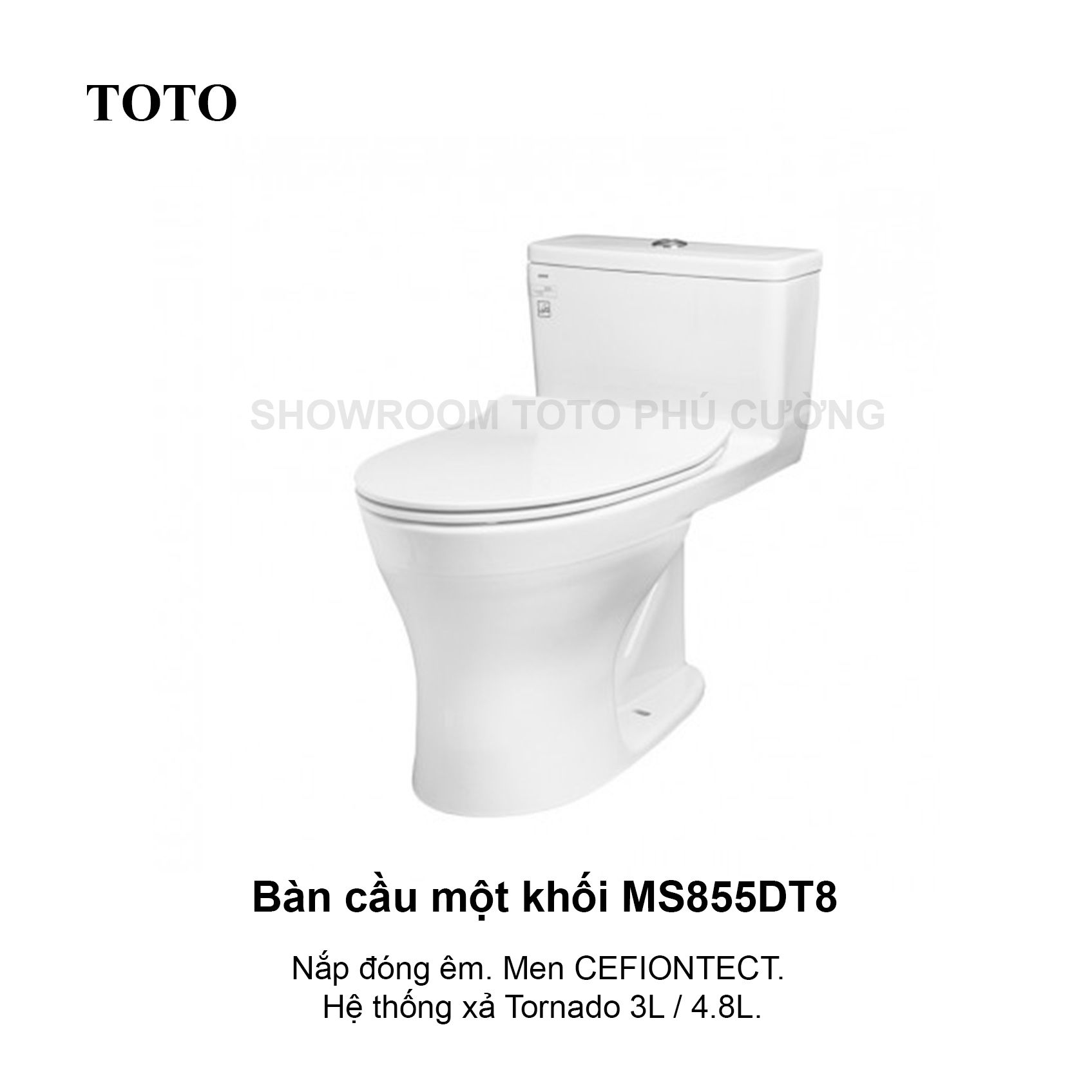 Bàn cầu 1 khối nắp đóng êm MS855DT8