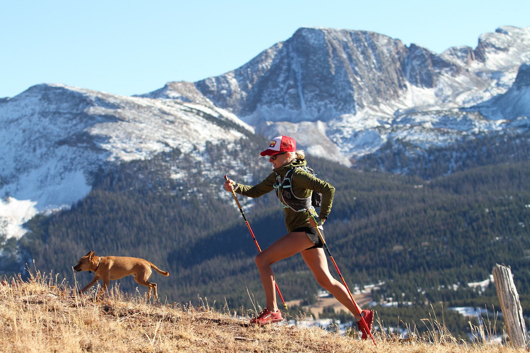 Gậy chạy địa hình Leki Trail Running Pole