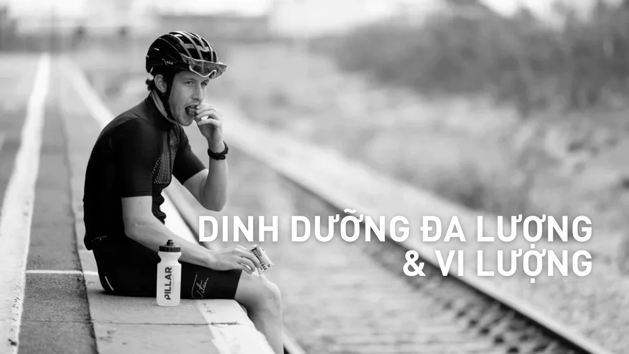 Dinh dưỡng Đa lượng và Dinh dưỡng Vi lượng