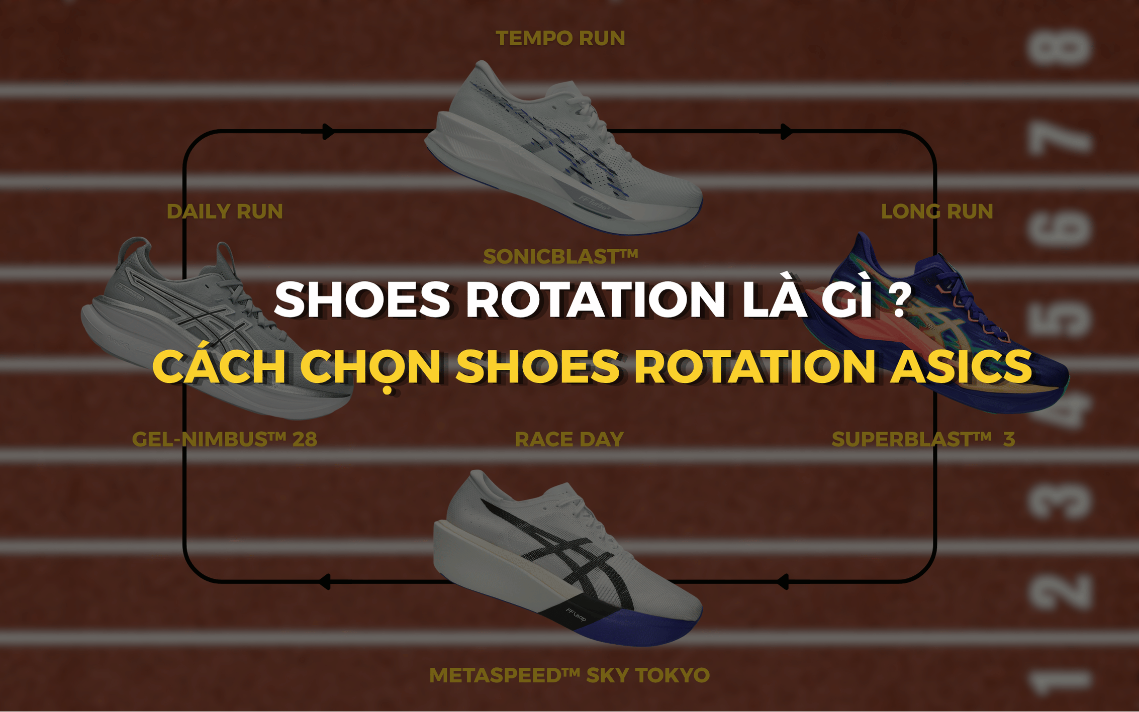CÁCH CHỌN SHOES ROTATION ASICS 2026: CHẠY HIỆU SUẤT HƠN, ÍT CHẤN THƯƠNG HƠN