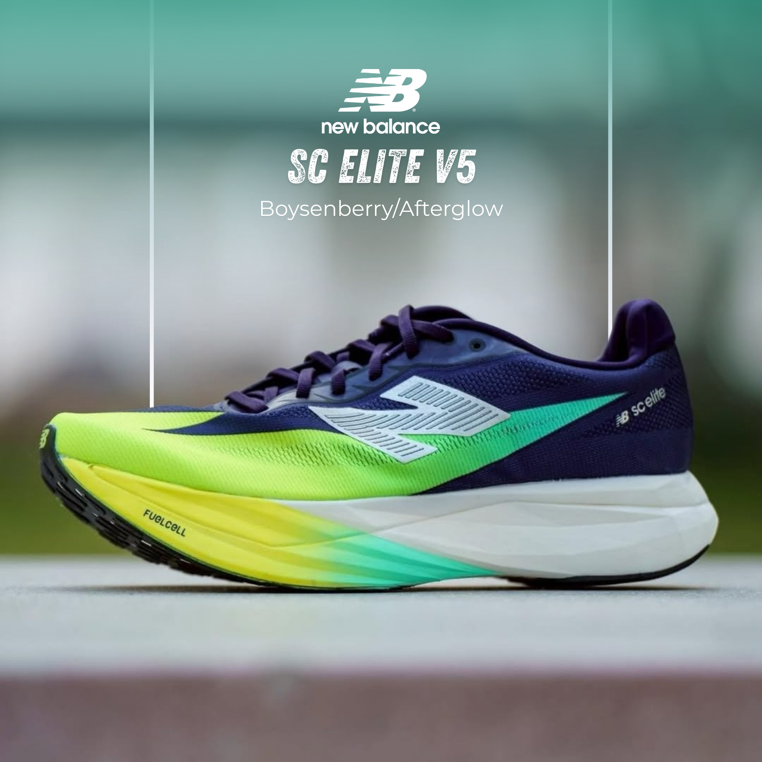Giay-Chay-Bo-Nam-New-Balance-FuelCell-SC-Elite-V5-Boysenberry-Afterglow.png?v=1779815723