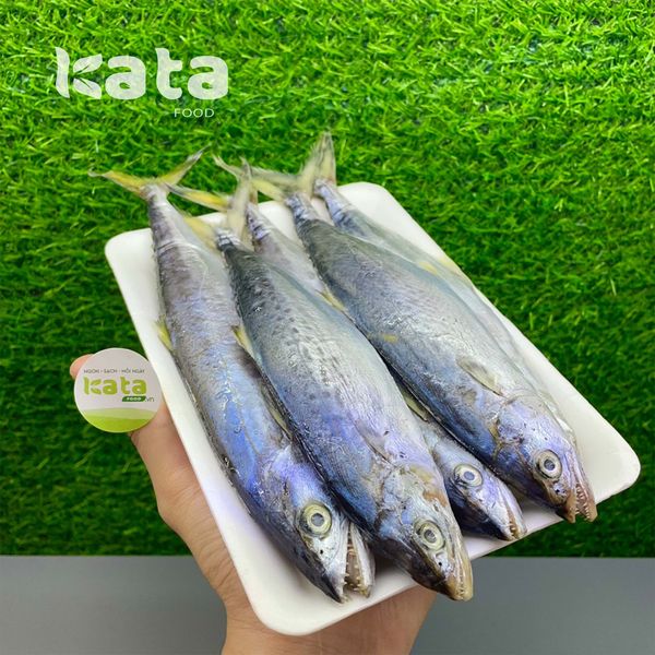 Hải sản - CÁ BẠC MÁ TƯƠI 500GR