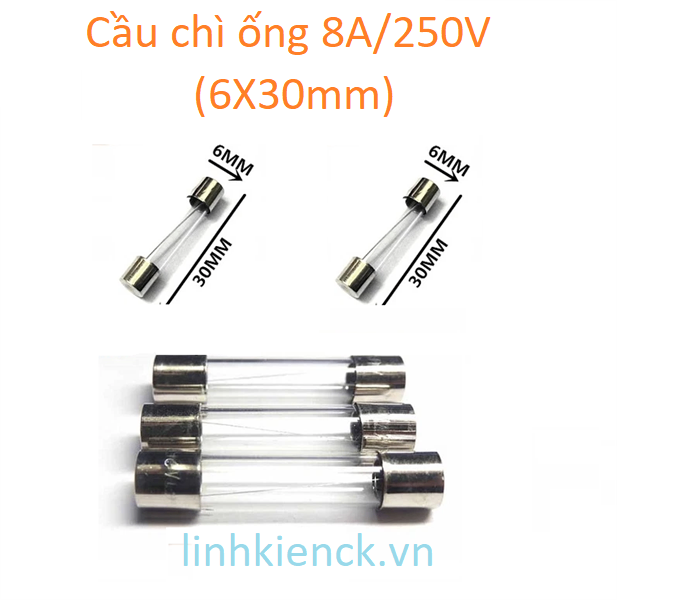 (5 Cái) Cầu chì ống 8A/250V (6X30mm)