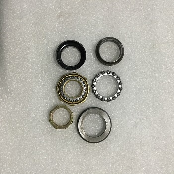 Bộ bi phốt cổ bộ chén cổ xe điện Xmen, Vespa