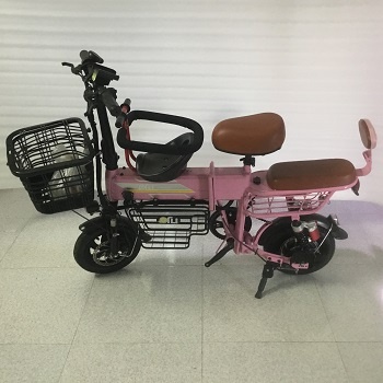 Xe đạp điện Theli gấp gọn màu hồng (xe mới thanh lý cửa hàng, không kèm pin)