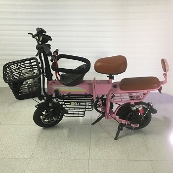 Xe đạp điện Theli gấp gọn màu hồng (xe mới thanh lý cửa hàng, không kèm pin)