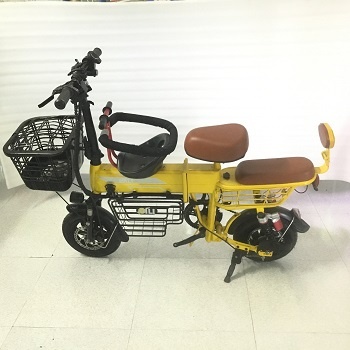 Xe đạp điện Theli gấp gọn màu vàng (xe mới thanh lý cửa hàng, không kèm pin)