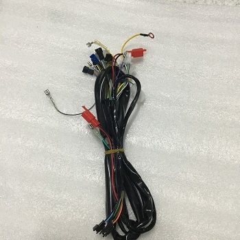 Bộ dây tổng xe PEGA CAP A