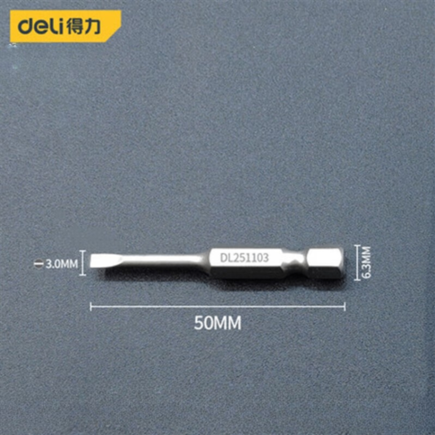 Bộ 10 đâù vit́ dẹp 3.0*50mm