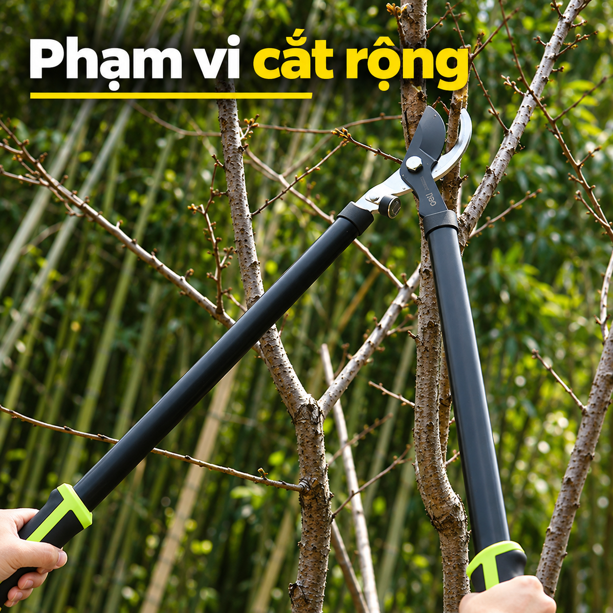 Bộ Kéo Cắt Cành 2 Món Deli