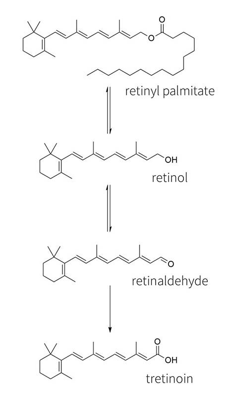 Retinol-la-gi-Phan-loai-tac-dung-va-cach-su-dung_Retinol là gì Phân loại, tác dụng và cách sử dụng.jpg