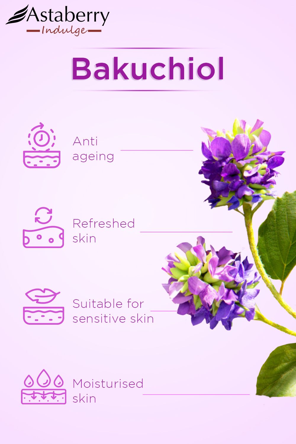 So-sanh-bakuchiol-va-retinol-nen-chon-loai-nao--2.jpg