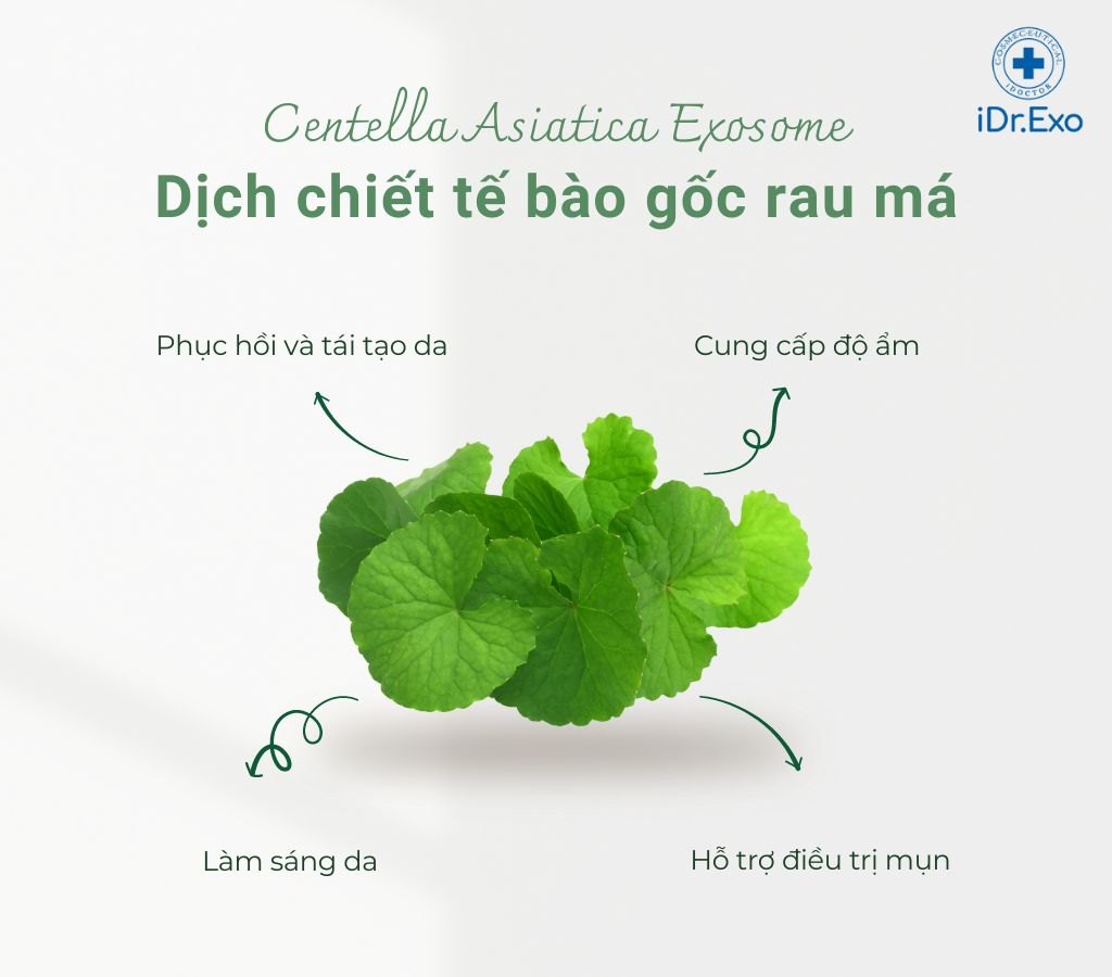 Tinh chất phục hồi tái tạo da iDr.Exo RT Plus Idrskin