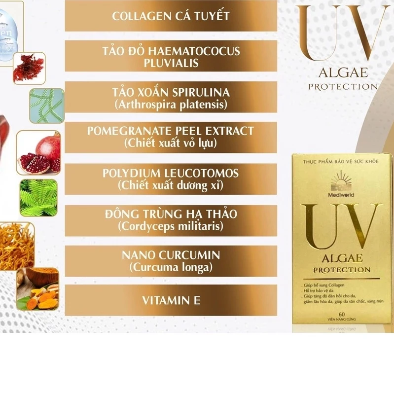 Viên uống bảo vệ da bổ sung collagen UV ALGAE PROTECTION Mediworld