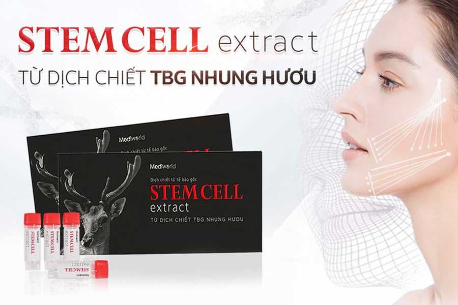 Tế bào gốc nhung hươu Stemcell Extract Mediworld