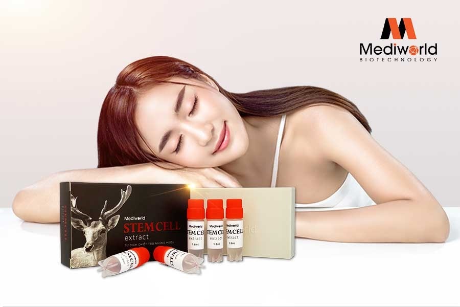 Tế bào gốc nhung hươu Stemcell Extract Mediworld