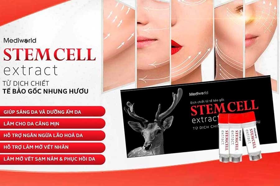 Tế bào gốc nhung hươu Stemcell Extract Mediworld