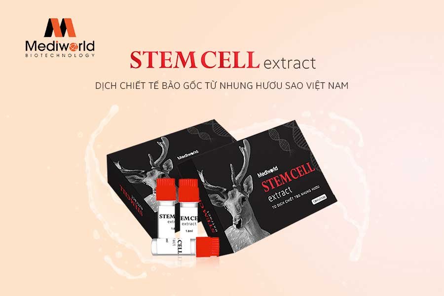 Tế bào gốc nhung hươu Stemcell Extract Mediworld