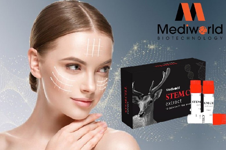 Tế bào gốc nhung hươu Stemcell Extract Mediworld