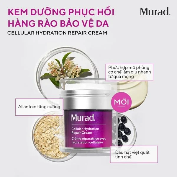 Kem dưỡng ẩm và làm dịu da khô Murad Cellular Hydration Repair Cream