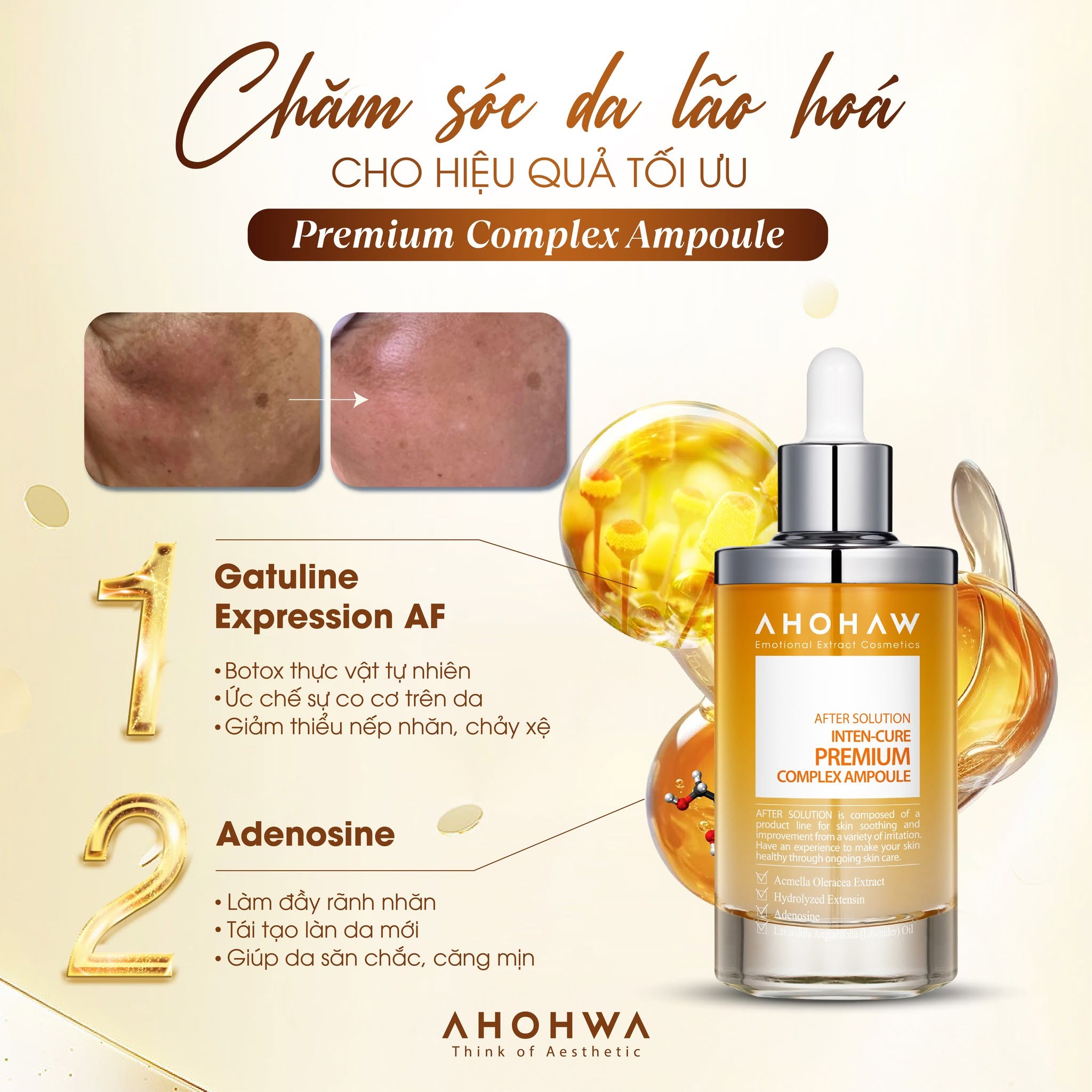 Tinh chất chống lão hóa cải thiện nếp nhăn Ahohwa After Solution Inten-Cure Premium Complex Ampoule