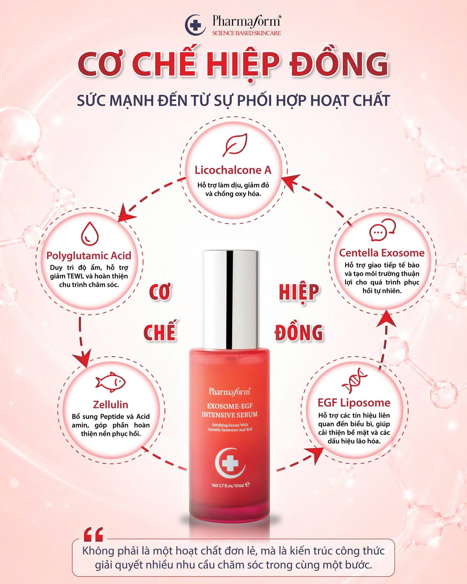 Serum Hỗ Trợ Làm Dịu Và Cấp Ẩm Cho Da Pharmaform Exosome-EGF Intensive Serum 4.jpg